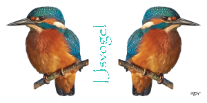 Voorbeeld